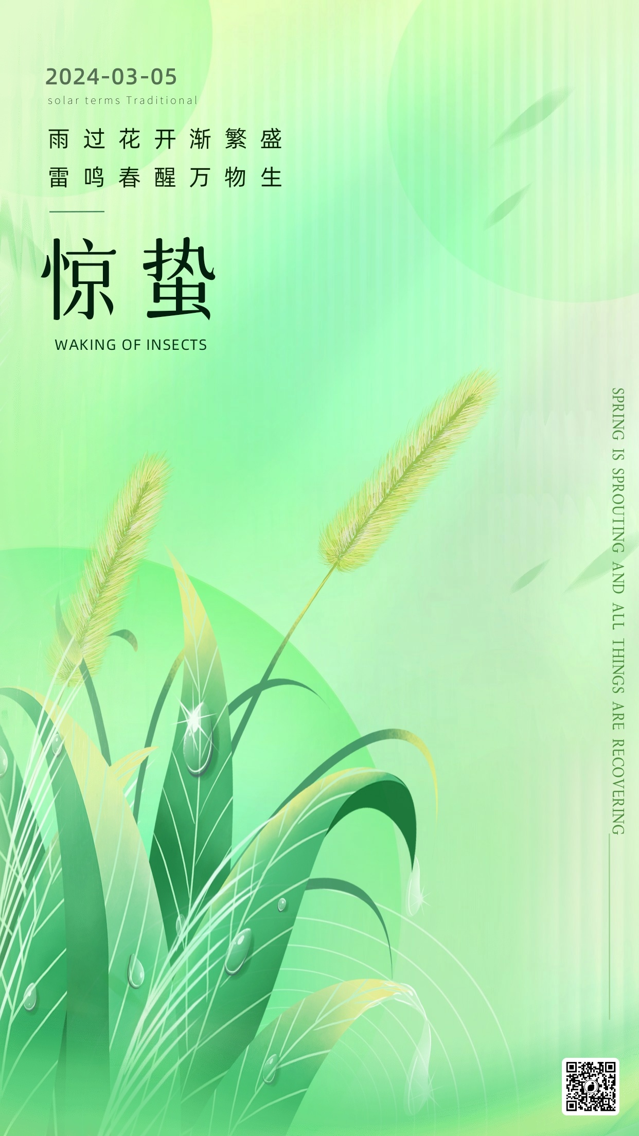 设计稿20240221
