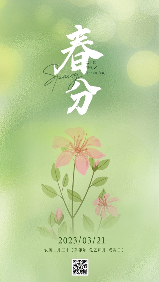 简约企业商务春分节日海报模板